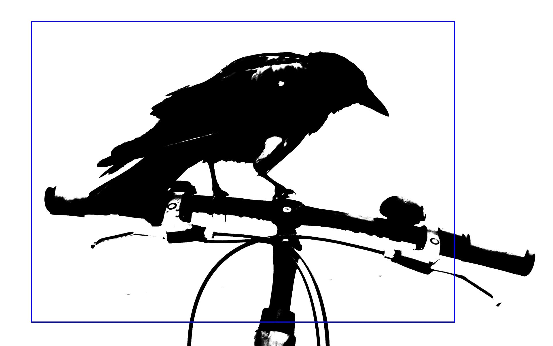 Krähe auf Fahrrad