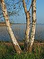 PICT0594