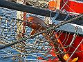 PICT0218