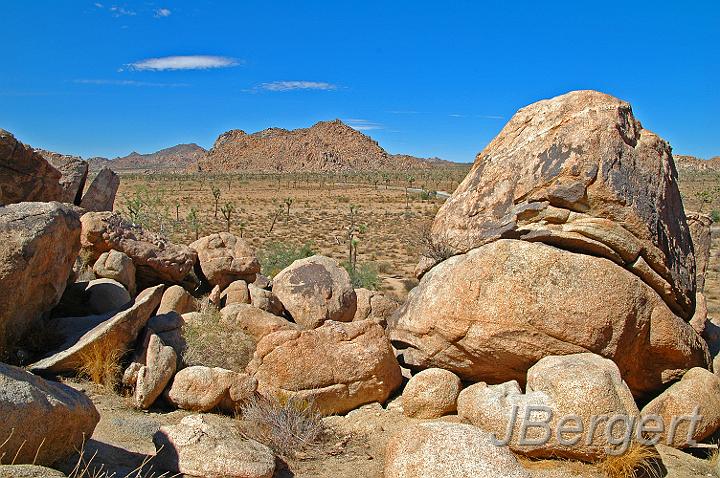 DSC_7513.JPG - Joshua Tree Nationalpark