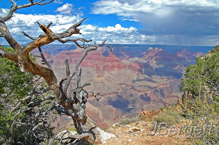 DSC_7574.JPG - Grand Canyon
