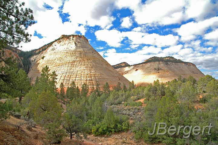 DSC_7722.JPG - Zion Nationalpark