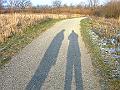 Licht