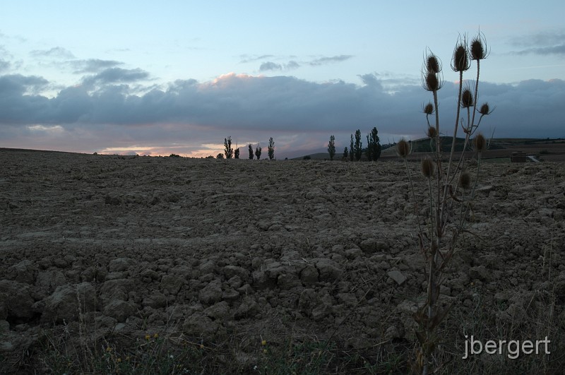 DSC_3762.JPG - kurz vor dem Sonnenaufgang / Cizur Menor