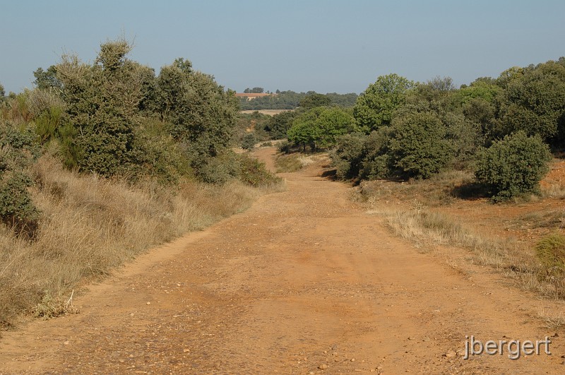 DSC_4238.JPG - bei Santibanez de Valdeiglesias
