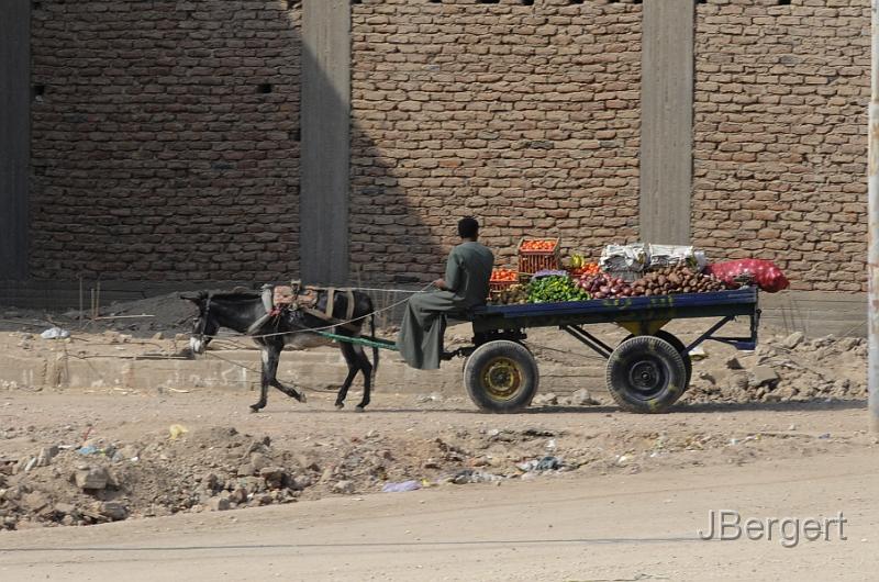 _DSC3395.JPG - in Luxor