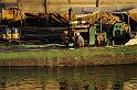 _DSC3867