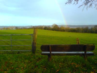 Regenbogen